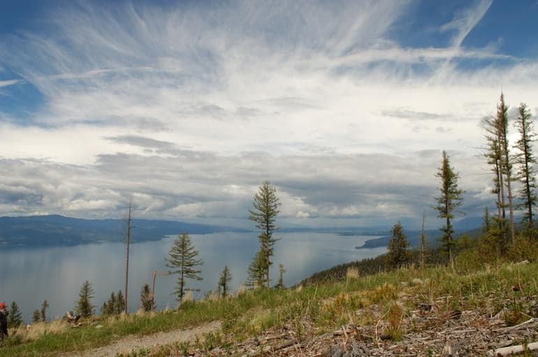 Headwaters Conservation